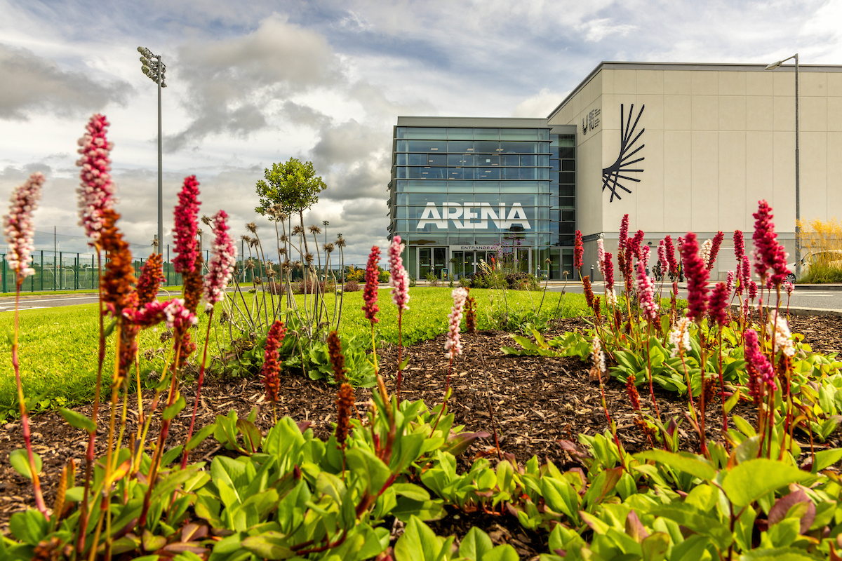 Image of the SETU Arena and flowers in the foreground