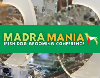 Image of Madra Mania logo