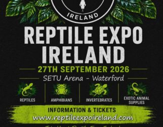 Reptile Expo Ireland comes to SETU Arena